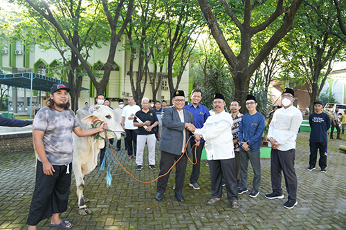 Unissula potong 18 Hewan Qurban