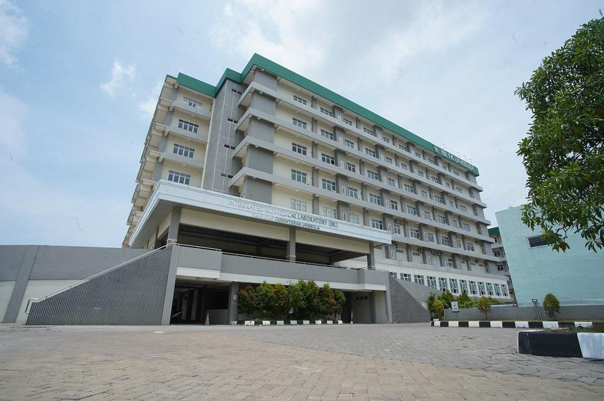 Faculty of Medicine Building panorama
