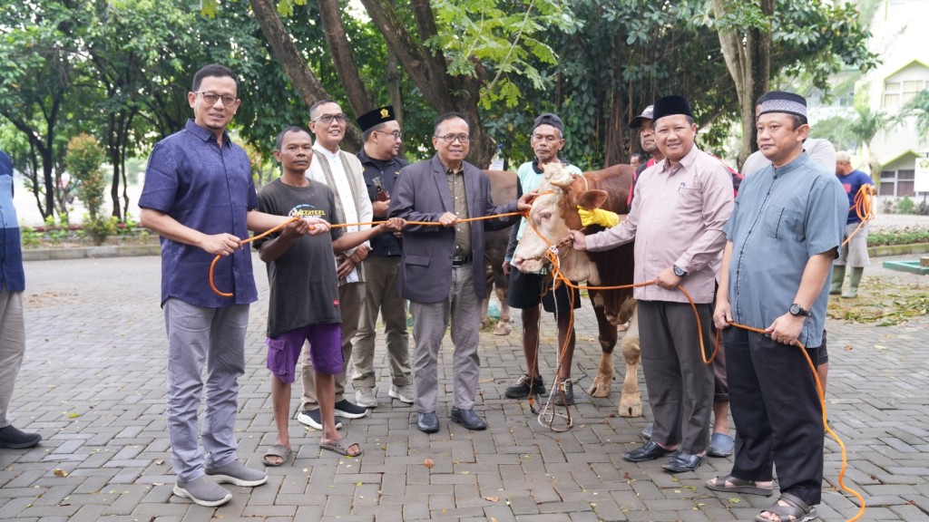 WhatsApp Image 2025-06-10 at 11.27.25